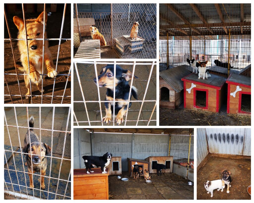 Obrazek wyróżniający